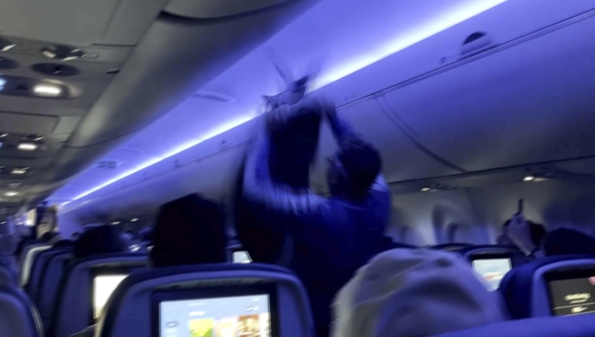 2 pigeons sneak onto Delta Air...