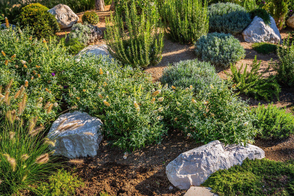 Build a Garden Without Disrupting Nature...