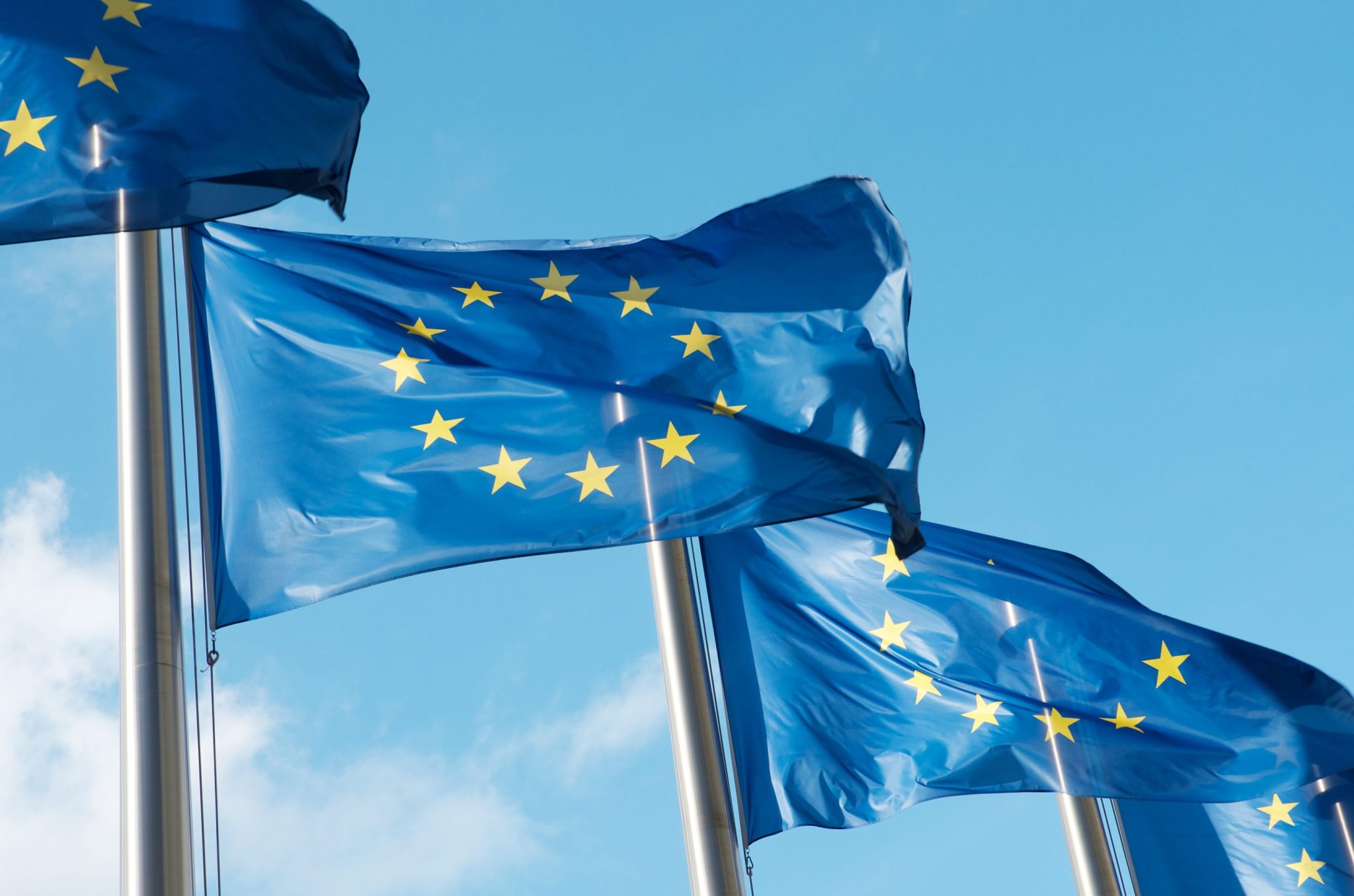 The EU should cut actual red...